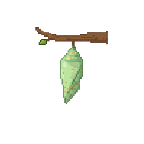 A chrysalis hanging from a branch