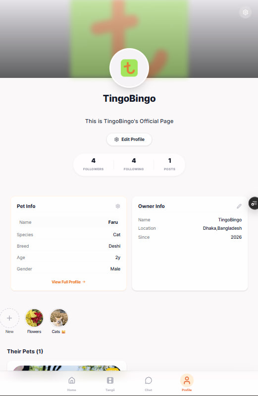 TingoBingo